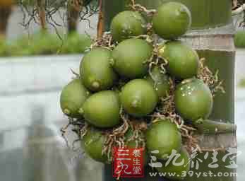 六大素食順氣食物 要常吃
