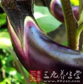 三款美味茄子新吃法有防病功效