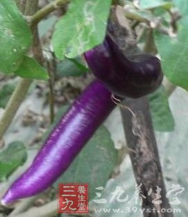 三款美味茄子新吃法有防病功效