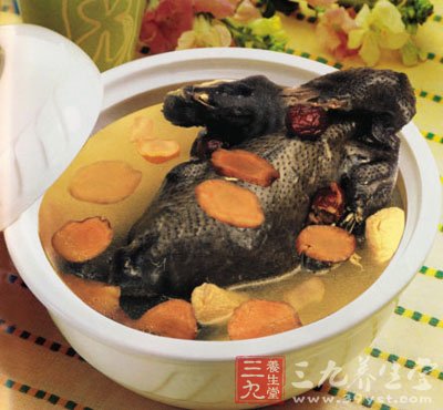 幾款春季養生食療食譜推薦