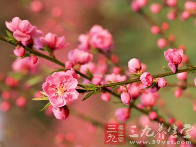 4款美味花粥 助女人美膚又養顏