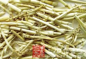 蘆根清熱生津 該如何入菜呢