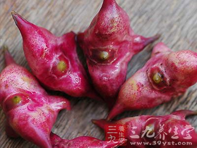 多吃菱角還能預防感冒