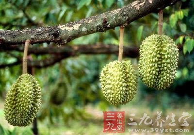 榴蓮食譜 吃出健康好女人