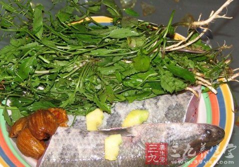 家常七日養生煲讓你健康每一天