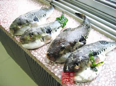 十五種食物療效驚人 讓你生病不用吃藥