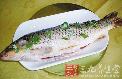 魚湯