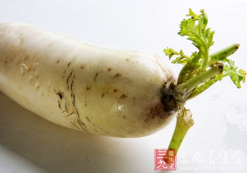 秋季御寒美食盤點 讓你溫暖一季