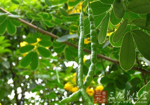 秋季御寒美食盤點 讓你溫暖一季