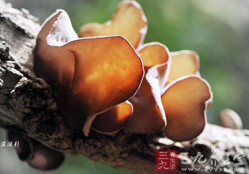 秋季御寒美食盤點 讓你溫暖一季