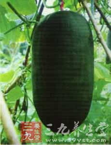 六道最健康的瑜伽食譜