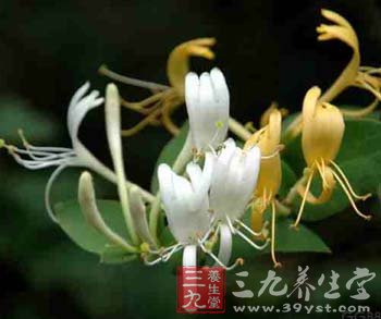 4款食譜為你排除身體毒素