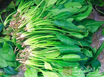 菠菜500克，粳米200克，豬油25克