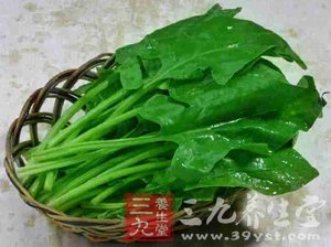 “性福”過冬 最全男女進補食譜