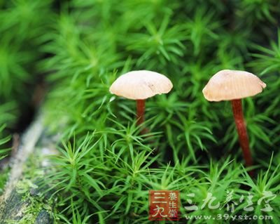 秋天養生美味食物