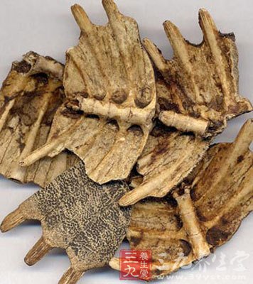 女人滋陰補腎的10大食物