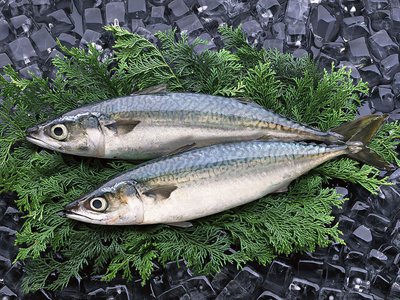 海魚富含Ω-3脂肪酸