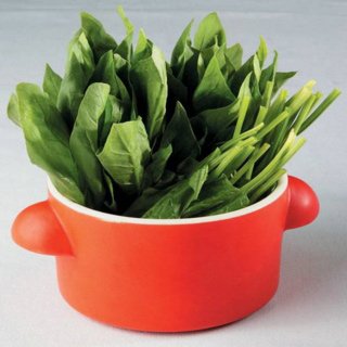7種食物讓你擁有精致小v臉