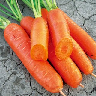 7種食物讓你擁有精致小v臉